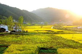 村民互换耕地，这些手续你办了吗？去哪里办理？图片