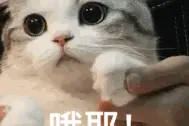 六一儿童节礼物指南出炉！选礼必看图片