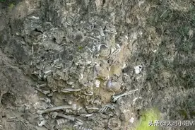 无人机在山西发现千年古城遗迹，黄土崖边白骨累累，啥情况图片