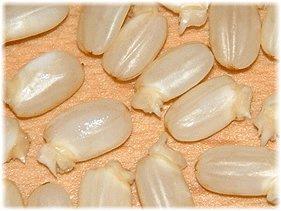 米饭脱糖概念真的全是伪科学？——还得看实际产品