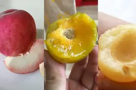 希望这是最后一次听说“桃养人，杏伤人”啦图片