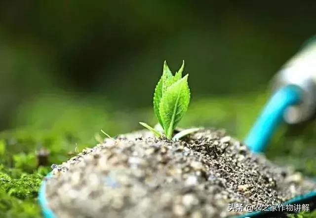 氨基酸、腐殖酸、硫基、黄腐酸、脲基、氯基、有啥不同？