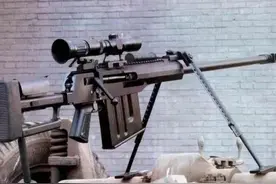 新增枪械AMR，这火力绝对强势图片