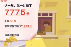 京东 2020 年度账单出炉图片