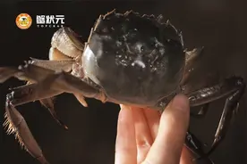 都是蟹，为什么只有大闸蟹这么好吃？图片
