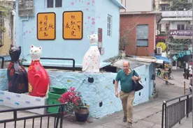 中国猫最多的景点！街上全是顶级品种猫，堪比日本猫岛！
