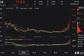 大智慧四连板背后存风险：大股东减持 诉讼赔偿逾2亿图片
