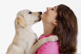 人性写真：狗与人图片