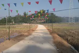 超载压坏村道，如何管护？广西人大常委会委员提出一条建议，推动责任压实图片