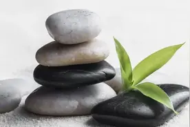 中医药可以把“胆结石”化掉吗？图片