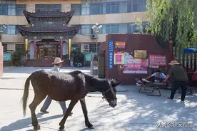 河北武安：百里不贩樵，古代每生产1吨生铁，约需要木炭7吨图片