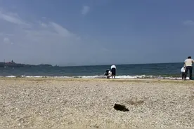 烟台为什么不需要宜家？图片