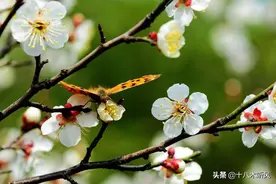 考研复试第一次见导师，看看聪明的研究生是如何做的？图片