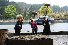 蕨粑是真正的原生态山珍美味，灾荒年间曾经挽救了无数饥民的性命图片