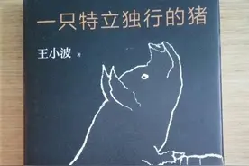 一只特立独行的猪-14图片