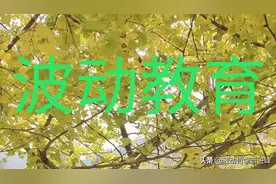 什么才是真正的素质教育？图片