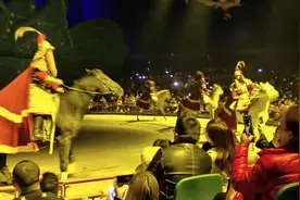 周口野生动物世界火爆中原图片