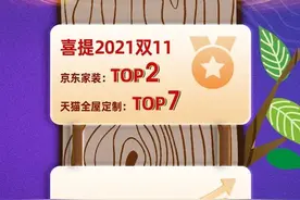 兔宝宝双11总成交额再创新高，突破2.38亿图片