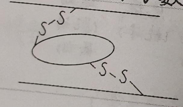 有关蛋白质的相关计算