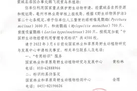 不仅仅河南标识鹦鹉可以养，安徽同样可以养，其他省份也可以申请图片