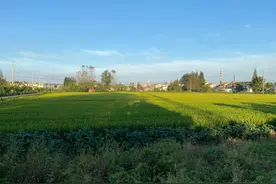 草甘膦原药一天涨1万/吨，达到7.5万/吨，这一切来得太快图片