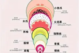 顺产时“开十指”，准妈妈的宫口会有多大？先看看这张水果切面图图片