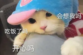 热乎的表情包来咯！！图片