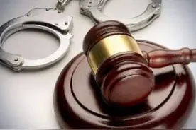 1212根羊角价值2884万余元 多人参与非法收购、运输、出售珍贵、濒危野生动物制品获刑图片