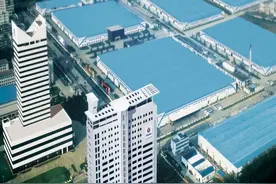 回首看春兰，抬头观未来图片