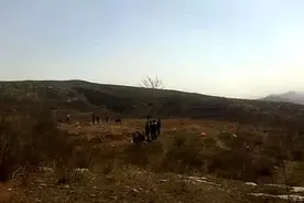 清明忆亲弟图片