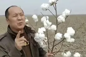 “新疆棉花哥”51岁的张宏远：“新疆棉”登上热搜，这个时候必须站出来说句实话图片