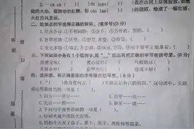 四年级下册语文期末测试卷，题目有点难，还是有学霸考95分图片