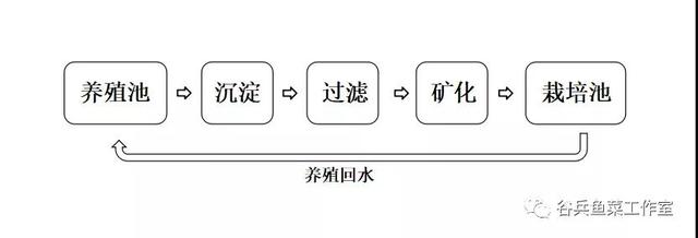 鱼菜共生植物缺素新认知 汇总