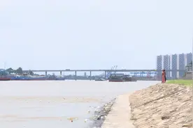 佛山一男子遛狗时被爱宠拽下江死亡？官方回应图片