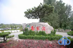 天津的农家院里藏着乡村振兴的“致富经”图片