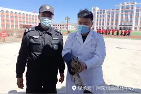 国家二级保护动物“长耳鸮”在阿荣旗那吉屯第五小学校园获救图片