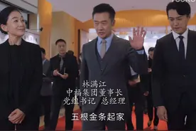 《突围》正部级干部仅露一面，浅谈各角色职级排序图片