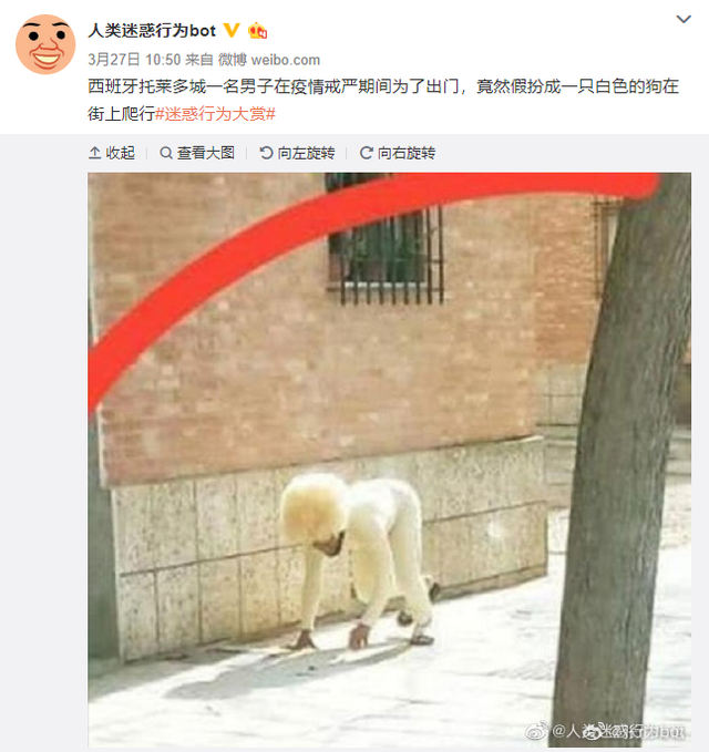 网上冲浪必备的"bot"，到底是个啥？