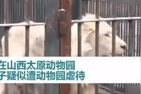 动物园，就是把动物关起来供人娱乐吗？图片