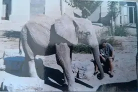 说说80后相声演员张伯鑫图片