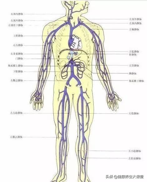 拉开身上“筋结”，缓解多种疾病！专家独门拉筋法