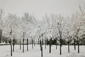 4月首场大雪来了，还即将扩大，官方预报：或连下3天，影响5省区图片