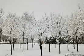 4月首场大雪来了，还即将扩大，官方预报：或连下3天，影响5省区图片