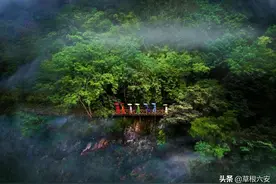 没想到，六安竟然是一个“平平无奇”的网红城市图片