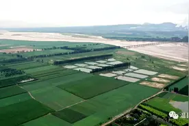 她太有文化！绝对刷新你的认知！图片