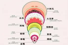 顺产中“开十指”到底是多大？用水果比喻很直观，谁生娃谁知道图片