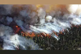 科学家警告：前所未见的北极僵尸野火，冰下火焰，无法扑灭图片