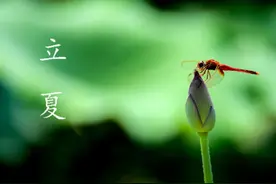 原创六十四：十六字令·风（三阕）图片