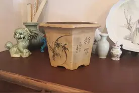 我的紫砂花盆赏析十篇集锦（四）图片