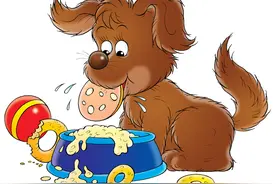 最新发现，狗狗的做梦过程，还会身体抽搐还大叫，可以叫醒它吗图片